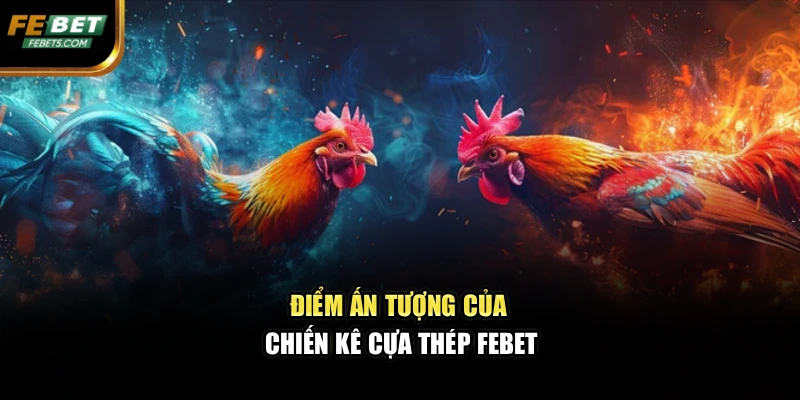 Điểm ấn tượng của chiến kê cựa thép FEBET