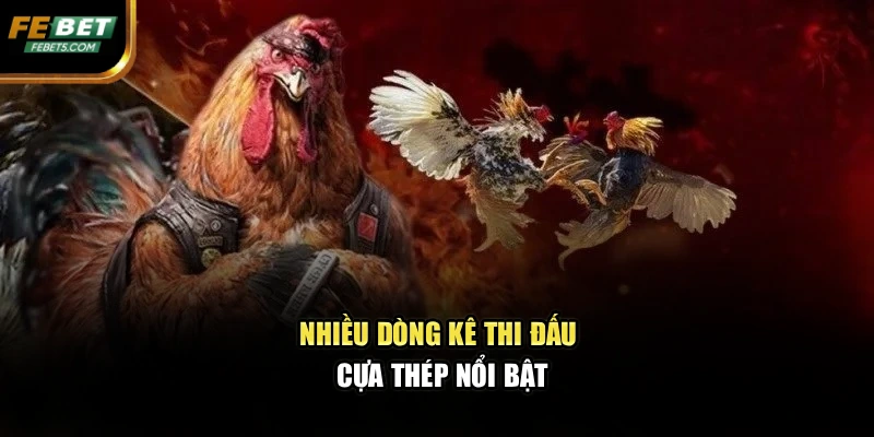Nhiều dòng kê thi đấu cựa thép nổi bật