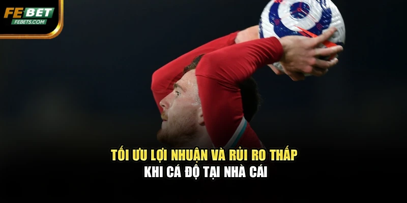 Tối ưu lợi nhuận và rủi ro thấp khi cá độ tại nhà cái