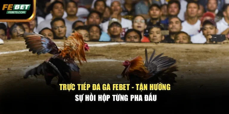 Trực Tiếp Đá Gà FEBET – Tận Hưởng Sự Hồi Hộp Từng Pha Đấu